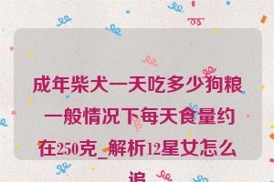 成年柴犬一天吃多少狗粮 一般情况下每天食量约在250克_解析12星女怎么追