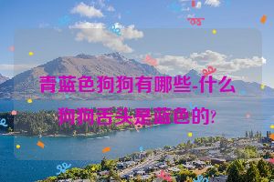 青蓝色狗狗有哪些-什么狗狗舌头是蓝色的?