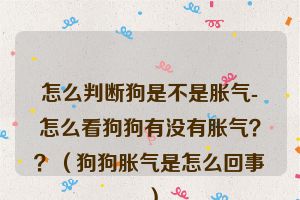 怎么判断狗是不是胀气-怎么看狗狗有没有胀气？？（狗狗胀气是怎么回事）