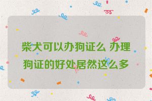 柴犬可以办狗证么 办理狗证的好处居然这么多