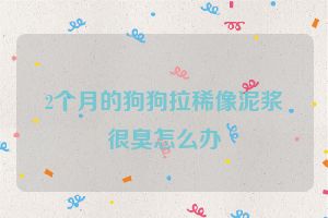 2个月的狗狗拉稀像泥浆很臭怎么办