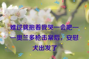 难过就抱着我哭一会吧——奥兰多枪击案后，安慰犬出发了