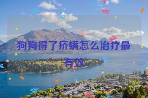 狗狗得了疥螨怎么治疗最有效