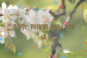 支招：狗皮屑去除6大秘诀