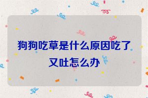 狗狗吃草是什么原因吃了又吐怎么办