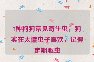 7种狗狗常见寄生虫，狗实在太遭虫子喜欢，记得定期驱虫