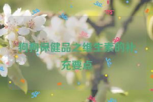 狗狗保健品之维生素的补充要点