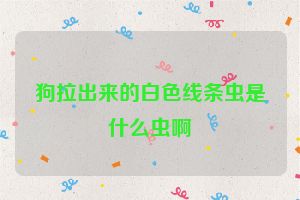 狗拉出来的白色线条虫是什么虫啊