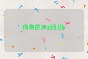 狗狗的追踪训练