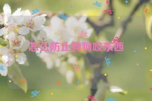 怎么防止狗狗咬东西