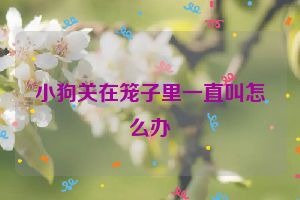 小狗关在笼子里一直叫怎么办