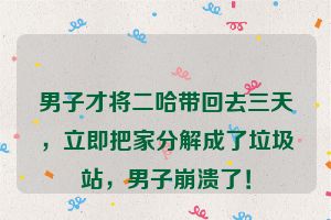 男子才将二哈带回去三天，立即把家分解成了垃圾站，男子崩溃了！