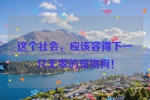 这个社会，应该容得下一只无辜的宠物狗！