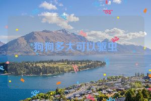 狗狗多大可以驱虫