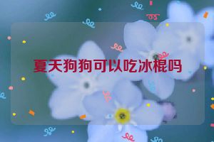 夏天狗狗可以吃冰棍吗