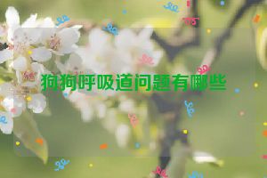 狗狗呼吸道问题有哪些