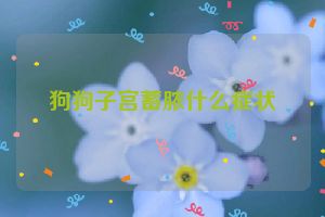 狗狗子宫蓄脓什么症状