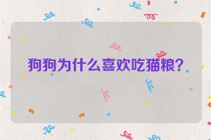 狗狗为什么喜欢吃猫粮？