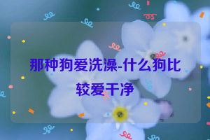 那种狗爱洗澡-什么狗比较爱干净