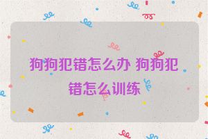 狗狗犯错怎么办 狗狗犯错怎么训练