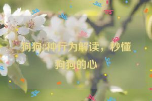 狗狗8种行为解读,秒懂狗狗的心