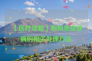 【医疗攻略】狗狗患皮肤病的相关处理方法