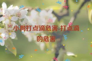 小狗打点滴危害-打点滴的危害