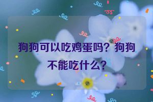 狗狗可以吃鸡蛋吗？狗狗不能吃什么？