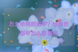 怎么给狗剪指甲？给狗剪指甲怎么看血线