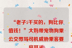 “老子5千买的，狗比你值钱！”大妈带宠物狗乘公交辱骂司机威胁乘客要扇耳光