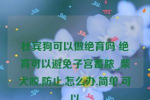 杜宾狗可以做绝育吗 绝育可以避免子宫蓄脓_柴犬咬,防止,怎么办,简单,可以