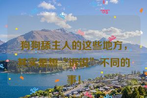 狗狗舔主人的这些地方，其实是想“诉说”不同的事！