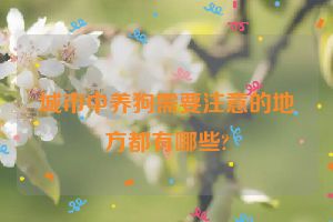 城市中养狗需要注意的地方都有哪些?