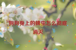 狗狗身上的蜱虫怎么彻底消灭