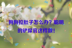 狗狗拉肚子怎么办？聪明的铲屎官这样做！