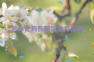 怎么让狗在固定地方拉屎