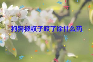 狗狗被蚊子咬了涂什么药