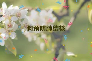 狗预防肺结核