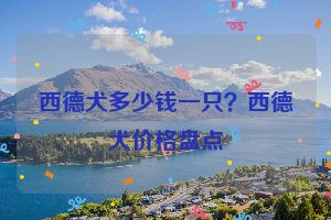 西德犬多少钱一只？西德犬价格盘点