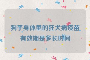 狗子身体里的狂犬病疫苗有效期是多长时间