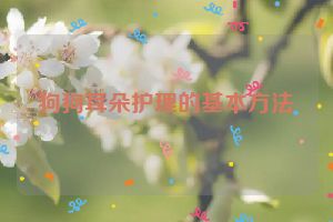 狗狗耳朵护理的基本方法