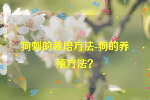 狗刺的栽培方法-狗的养殖方法？