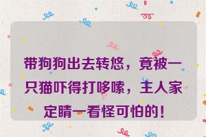 带狗狗出去转悠，竟被一只猫吓得打哆嗦，主人家定睛一看怪可怕的！