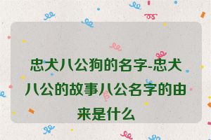 忠犬八公狗的名字-忠犬八公的故事八公名字的由来是什么