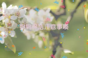 狗狗保洁注意事项