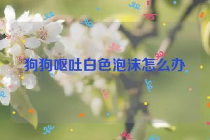 狗狗呕吐白色泡沫怎么办