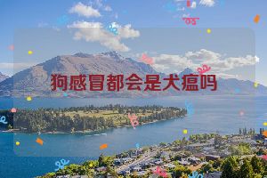 狗感冒都会是犬瘟吗