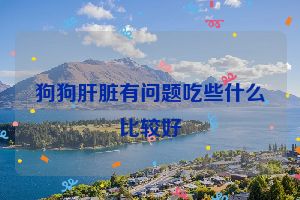 狗狗肝脏有问题吃些什么比较好