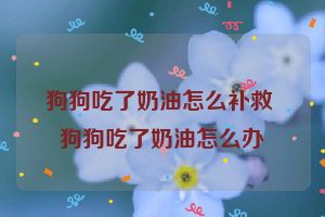 狗狗吃了奶油怎么补救 狗狗吃了奶油怎么办