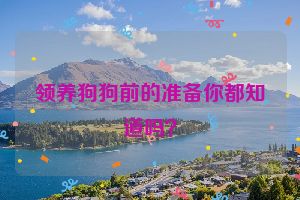 领养狗狗前的准备你都知道吗？